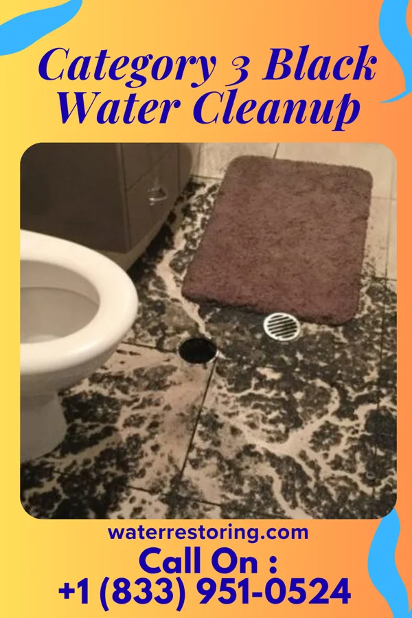 Category 3 Black Water Cleanup in Hartman, CO
